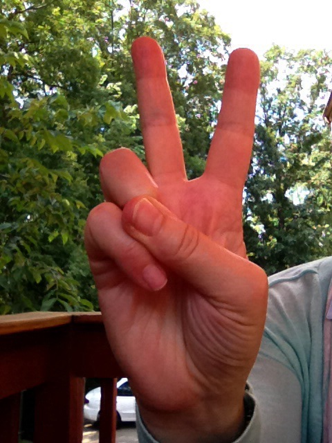 2 Weeks into 100 Days of Gratitude – So Grateful for&nbsp;Peace