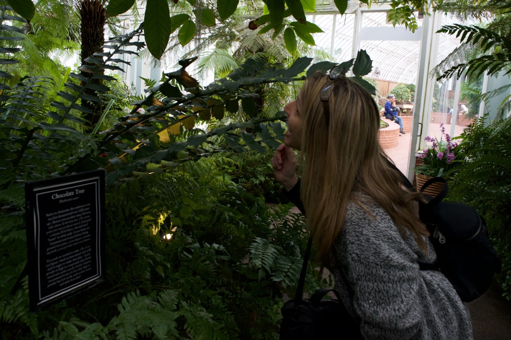 Girl’s Gotta Have Her&nbsp;Chocolate