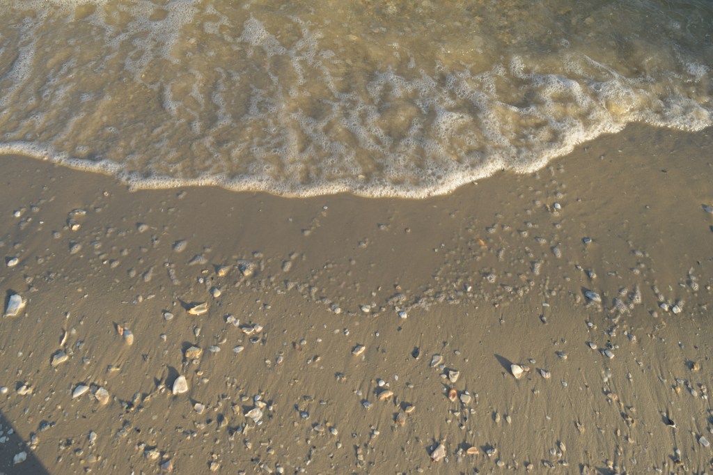 Return to My Authentic&nbsp;Self