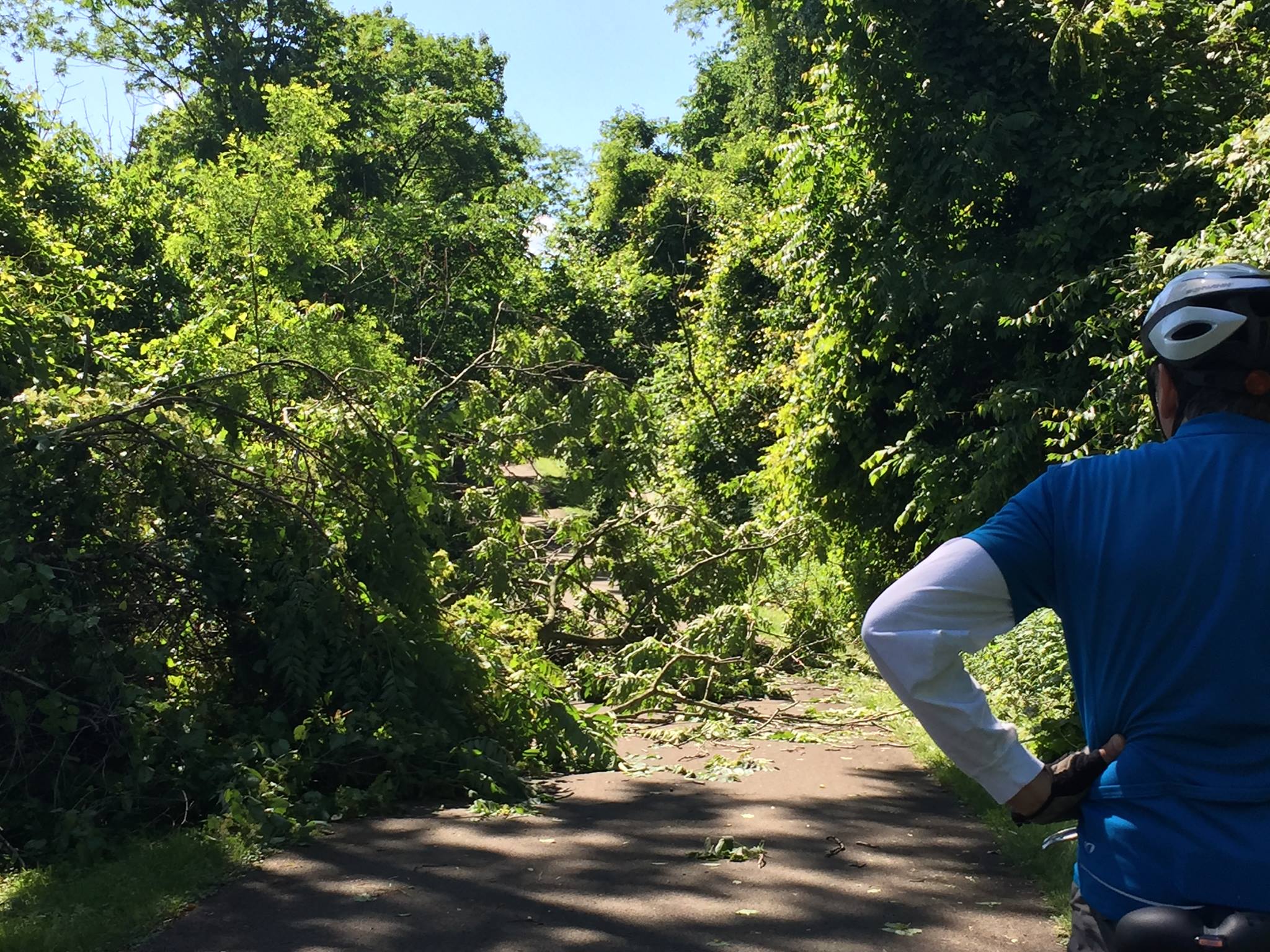 18815186_10155229369248592_7664985025986937121_o