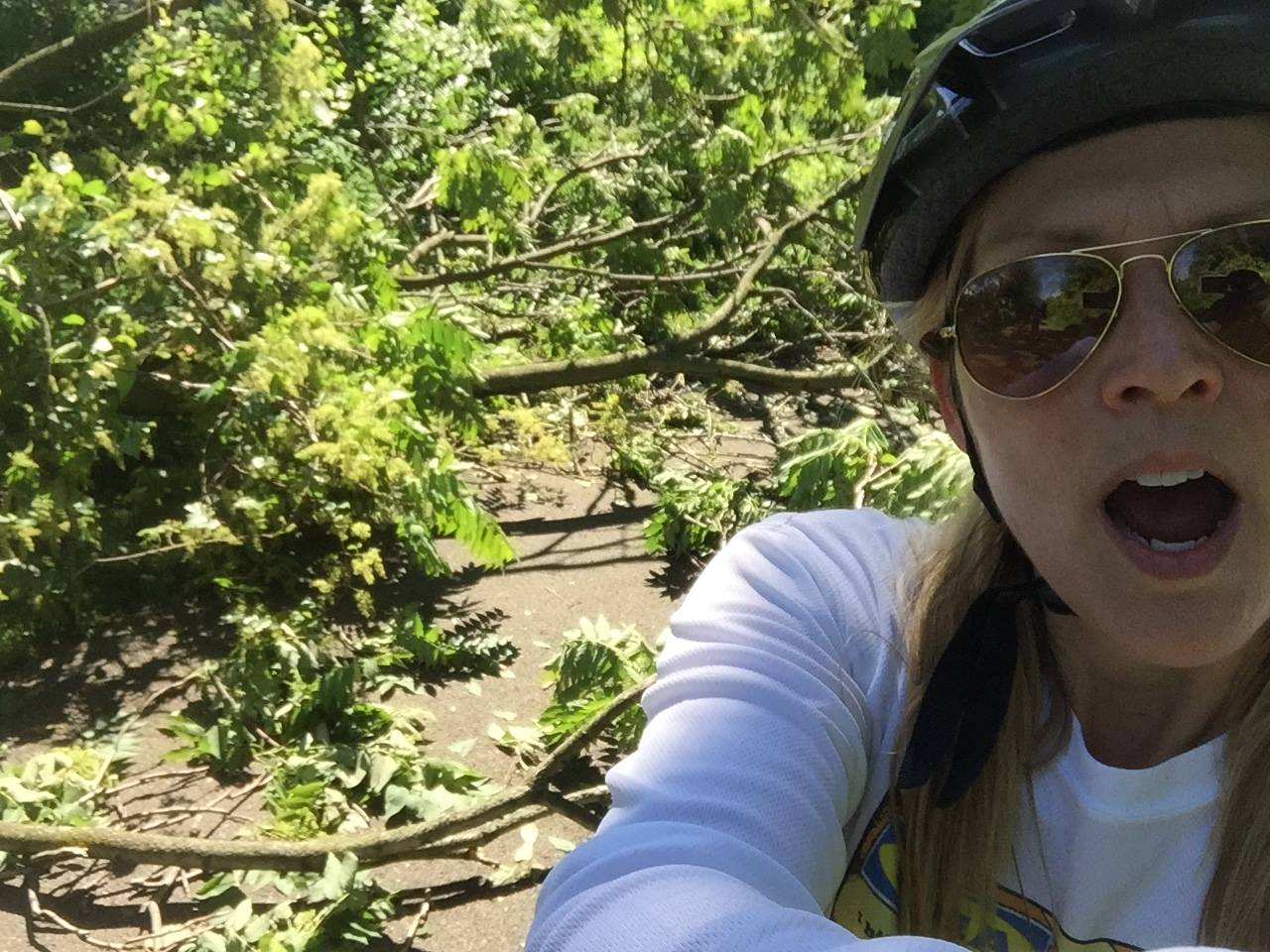 18839550_10155229367643592_4077840466337498838_o