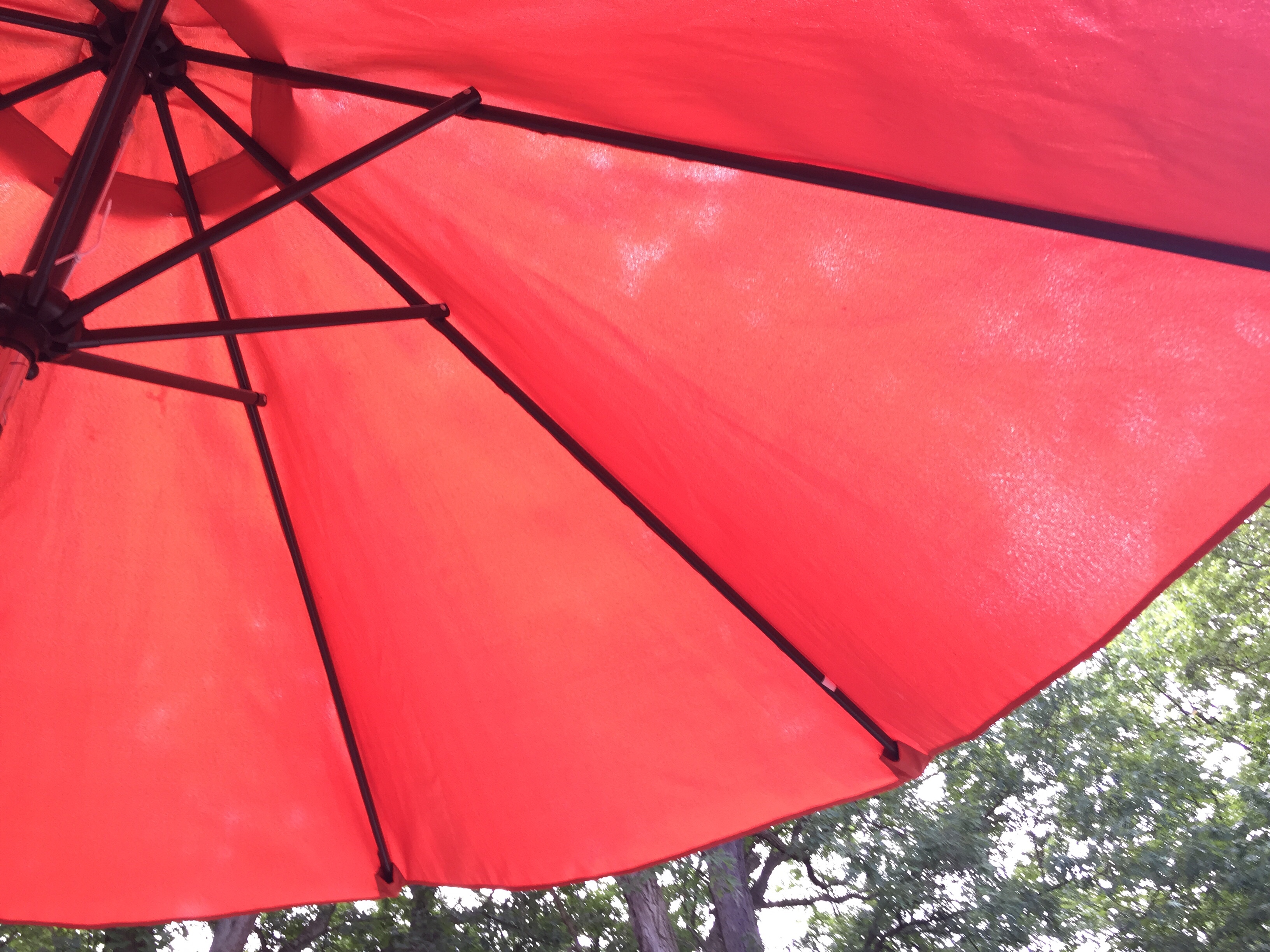 Image of red umbrella