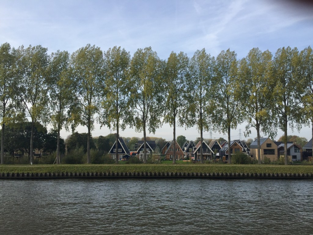 Sometimes a little order in life is&nbsp;good