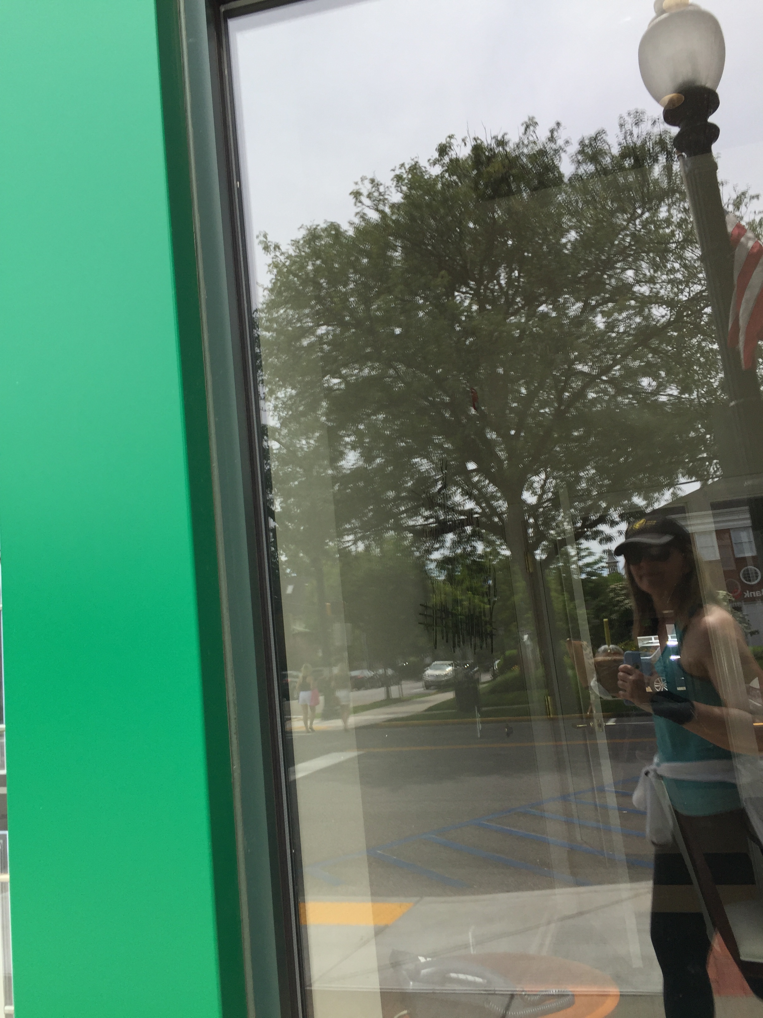 Reflection in window