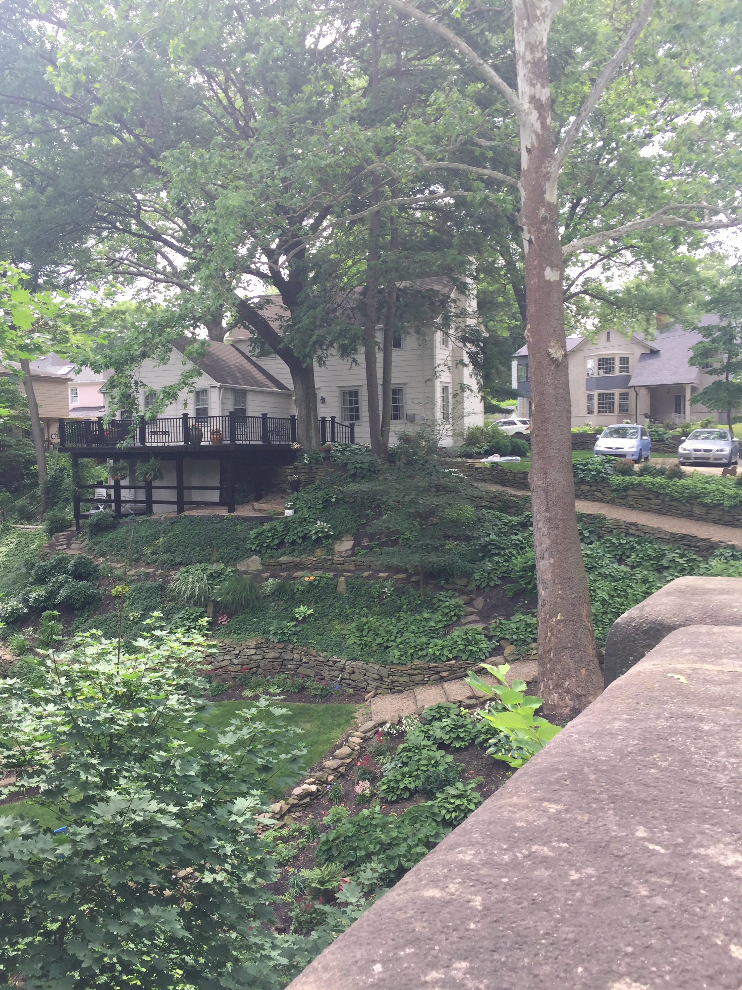 House on a hill with a terrace garden