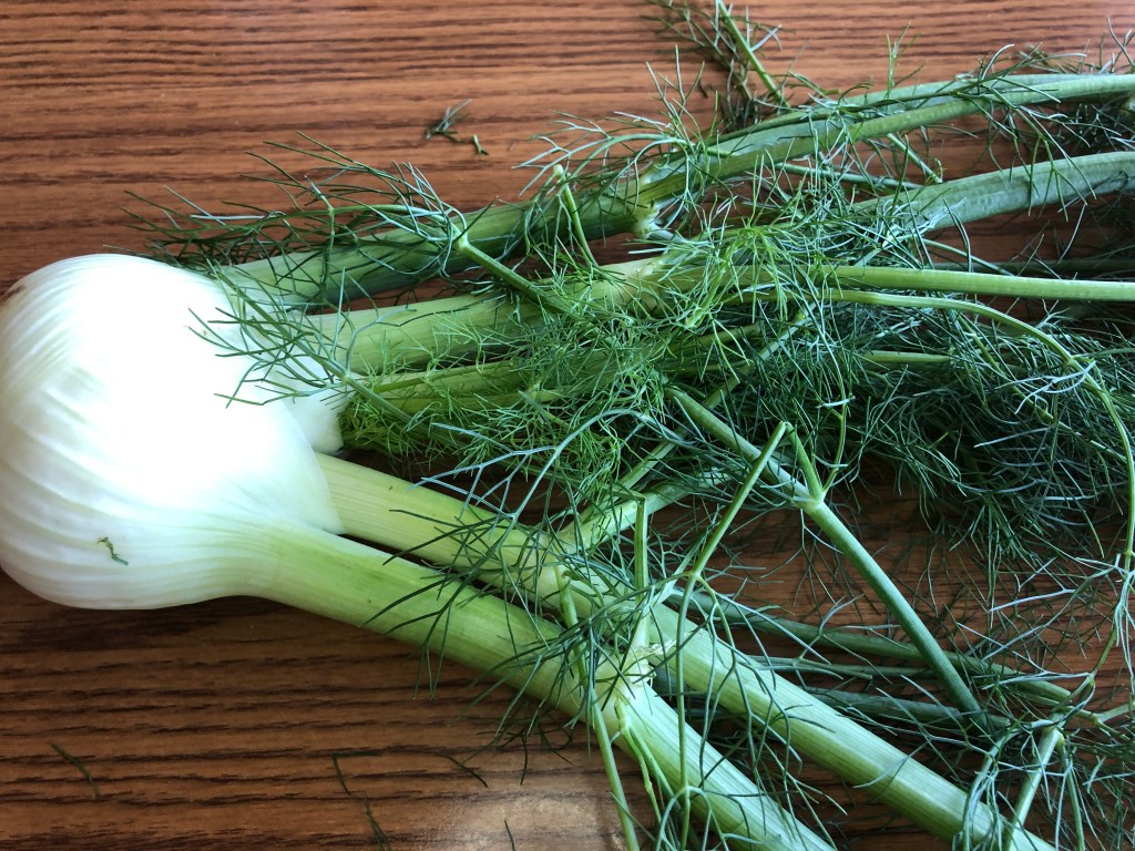image of fennel 