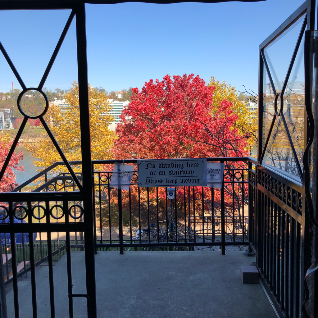 Photo fo Fall foliage from deck