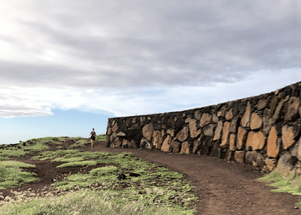 photo of trail with hiker in background