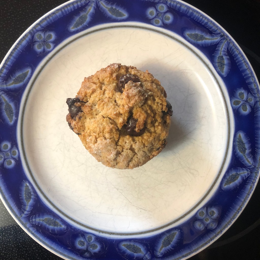 image of one single chocolate chip, raisin, bran muffin